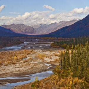 The Koyukuk River winds.