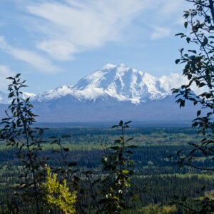 The Wrangell-St. Elias mountains.