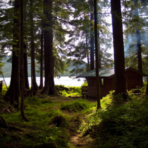 A cabin nestles in the Tongass.