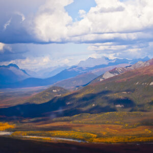 Alaska's autumn Tundra