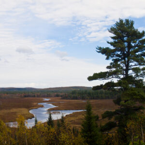 A river winds through the Maine wilderness.