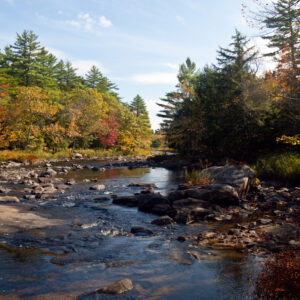 A brook runs through the Maine wilderness.