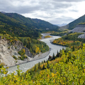 The Nenana River.