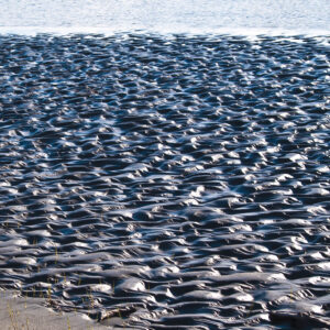 Muddy shores are sculpted by Alaska's Tanana River.