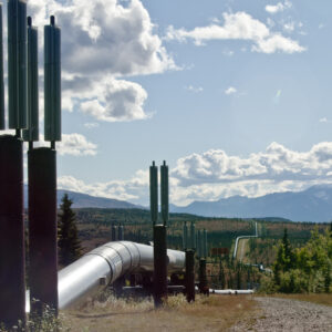 The Alaska pipeline cuts through the wilderness.